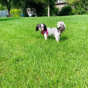 Meet your Posher, Christopher jeoffrey